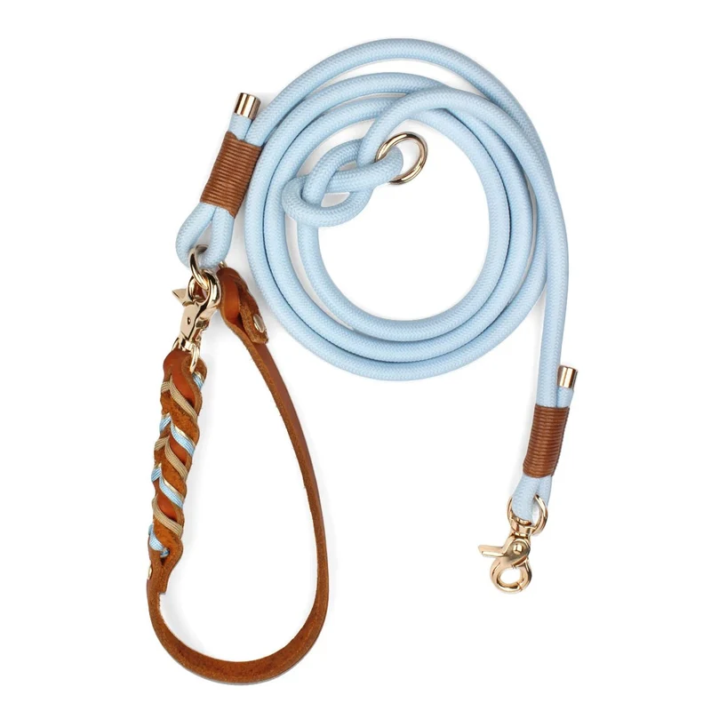 Laisse lasso pour gros chien
