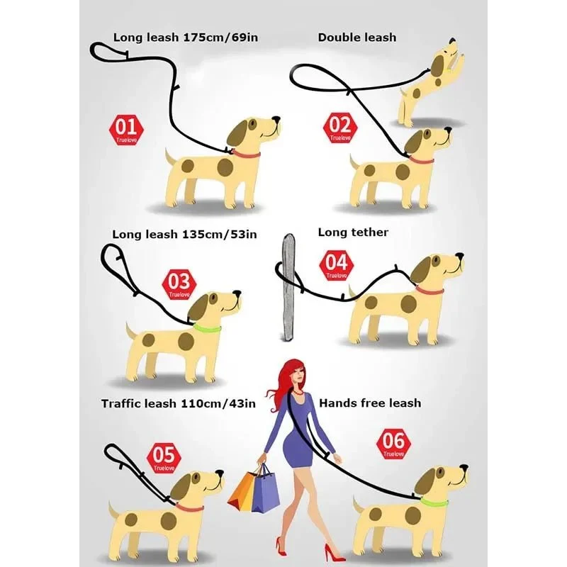 Laisse lasso dressage