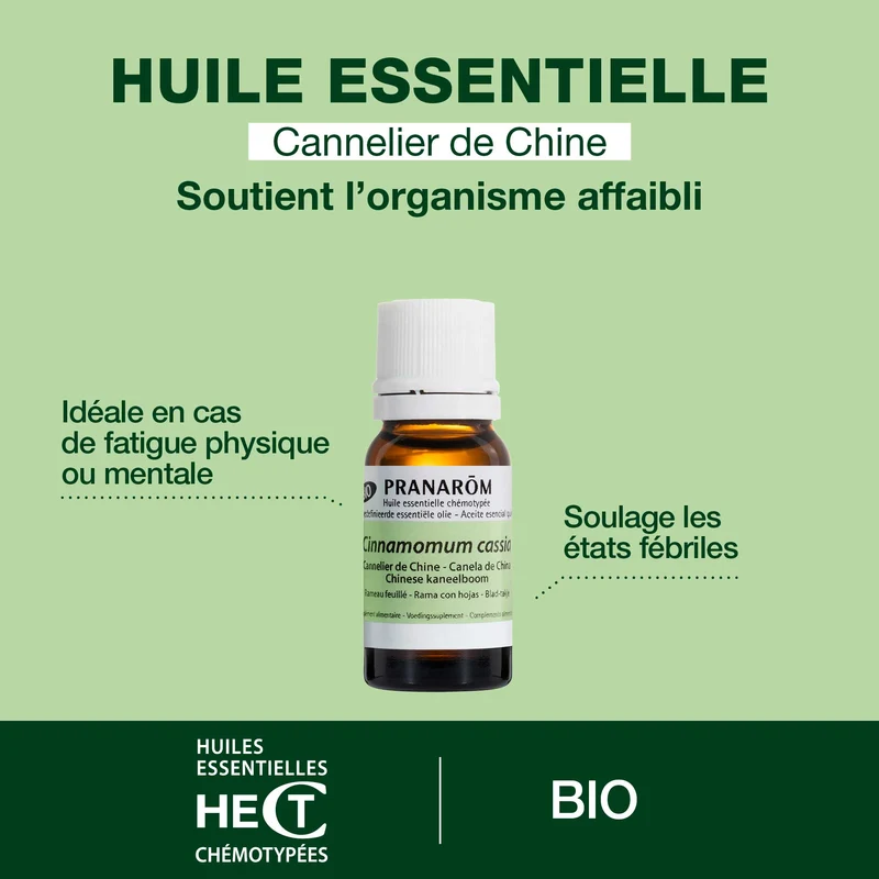 Huile Essentielle de Cannelier de Chine - Bio