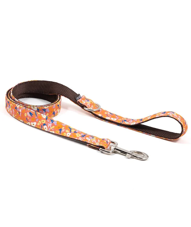 Collar para Galgo Miravet