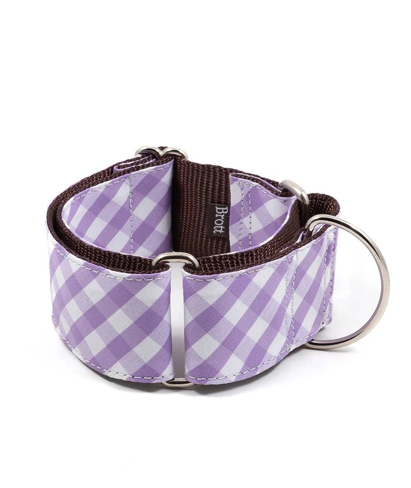Collar para perro Aitona