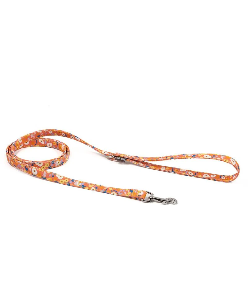 Collar para perro Miravet