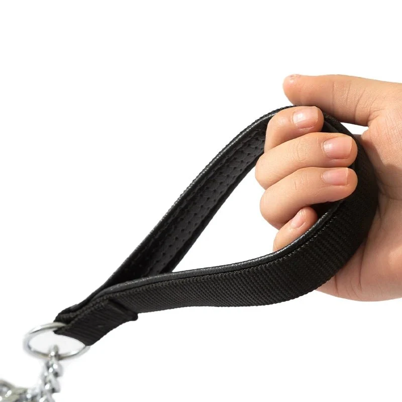 Laisse en metal pour chien