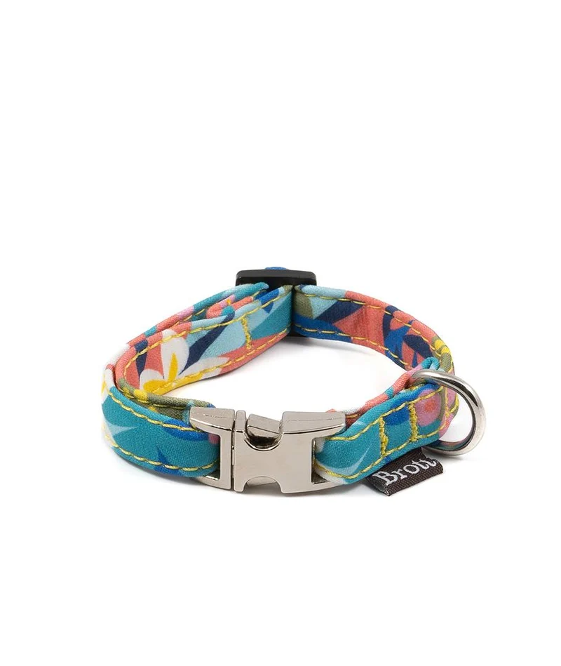 Collar para perro Ciutadella