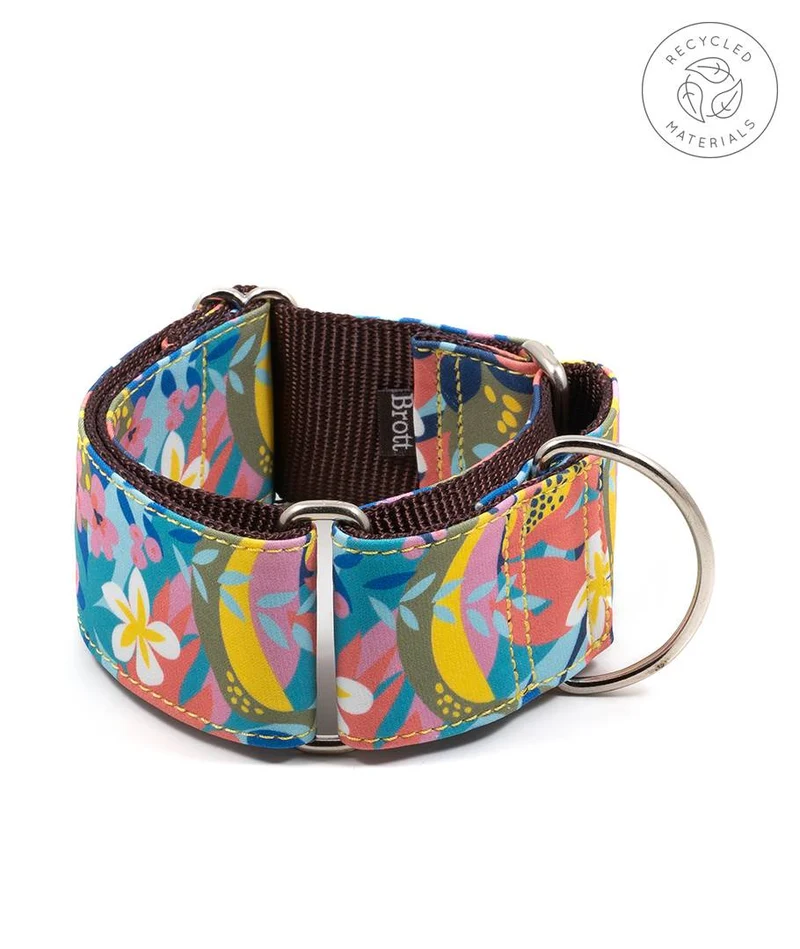 Collar para perro Ciutadella
