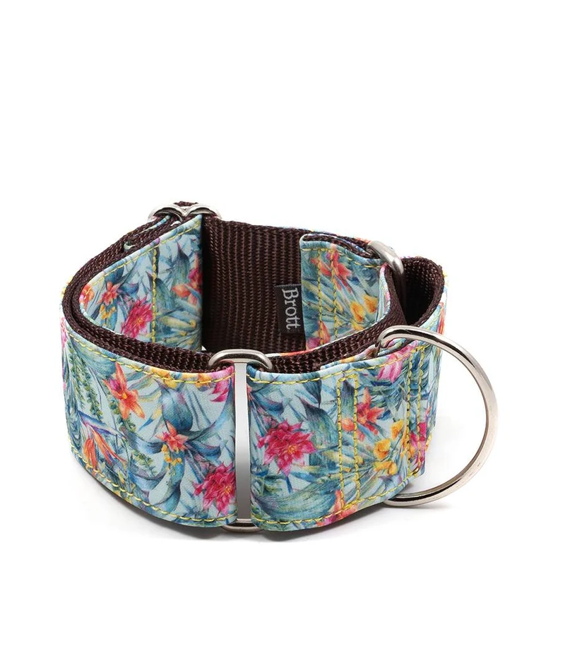 Collar para perro Perelada