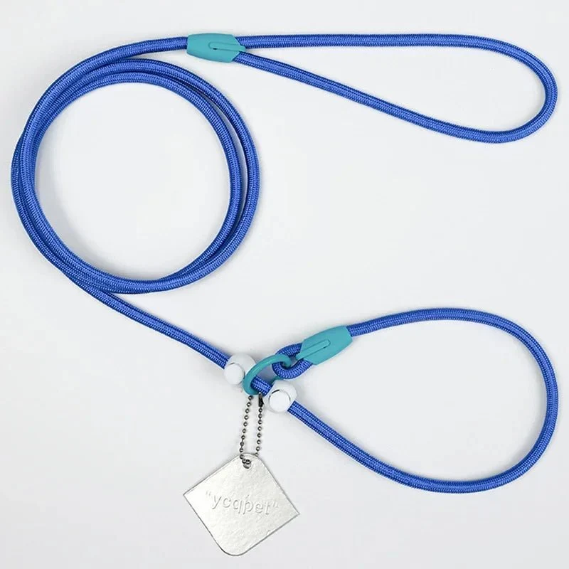 Laisse éducative pour chien