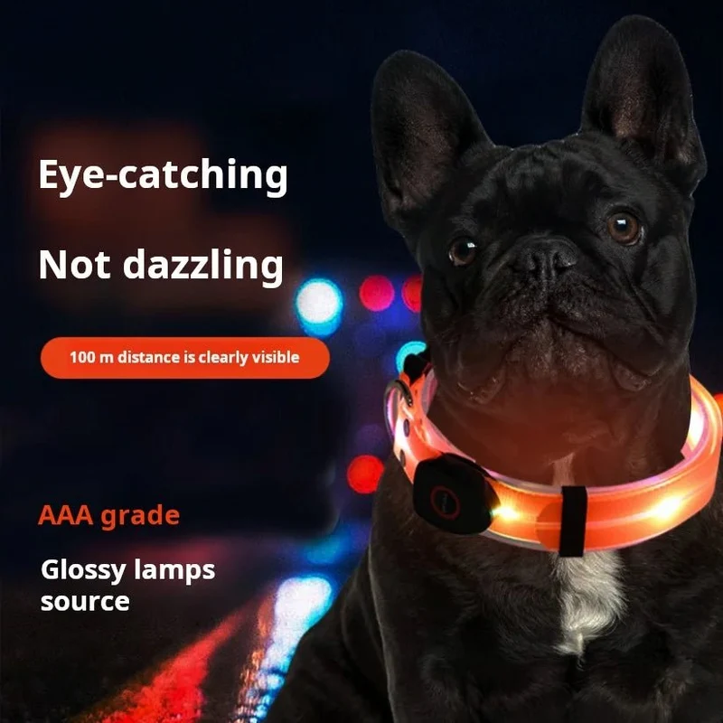 Laisse lumineuse pour chien