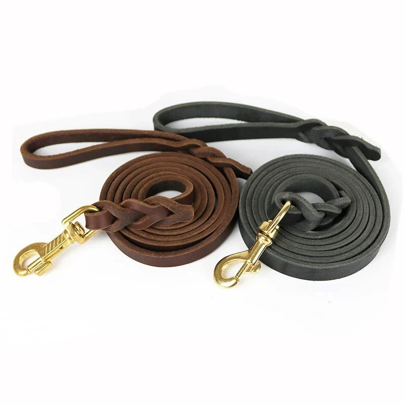 Laisse en cuir pour gros chien
