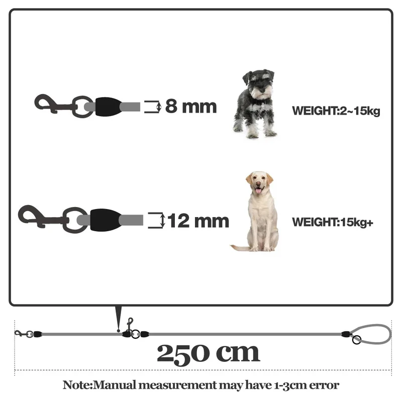 Laisse pour chien en nylon