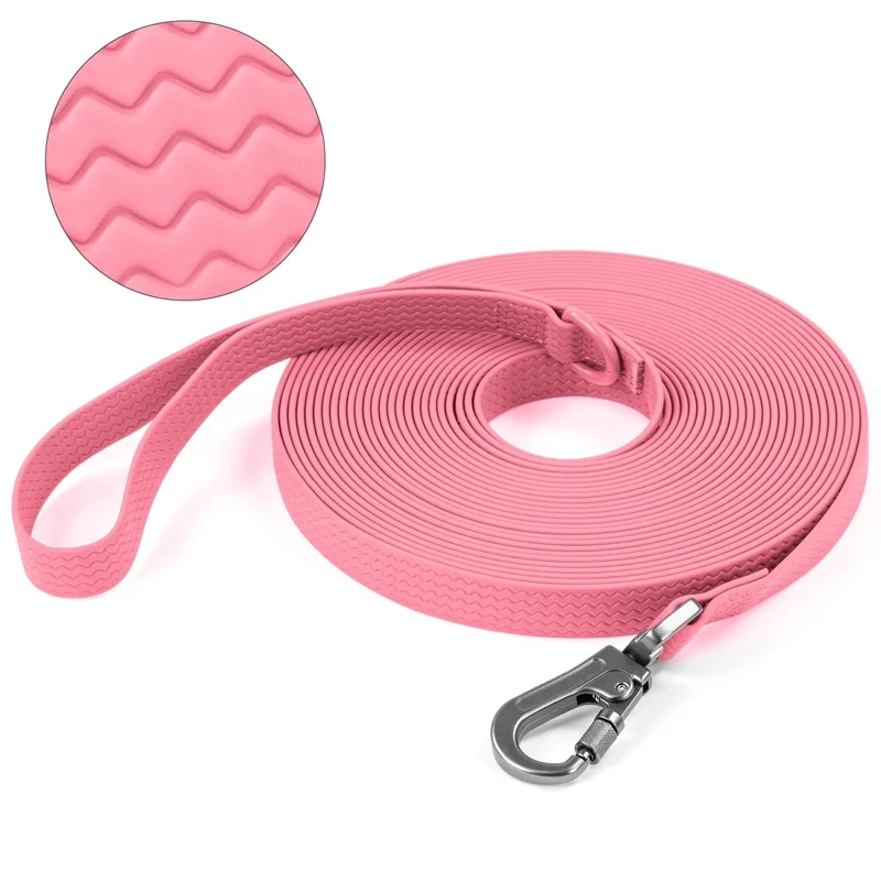 Laisse pour chien 10m