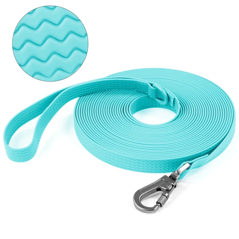 Laisse pour chien 10m