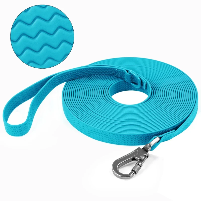 Laisse pour chien 10m