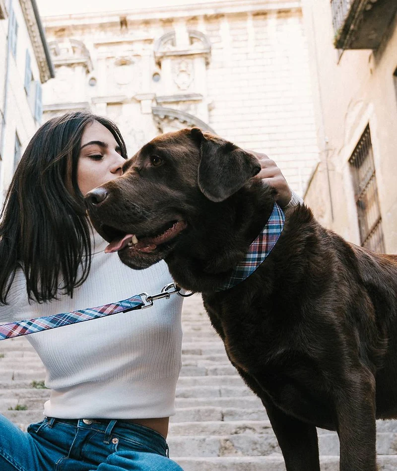 Collar para perro Gosol