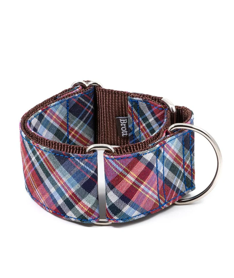 Collar para perro Gosol