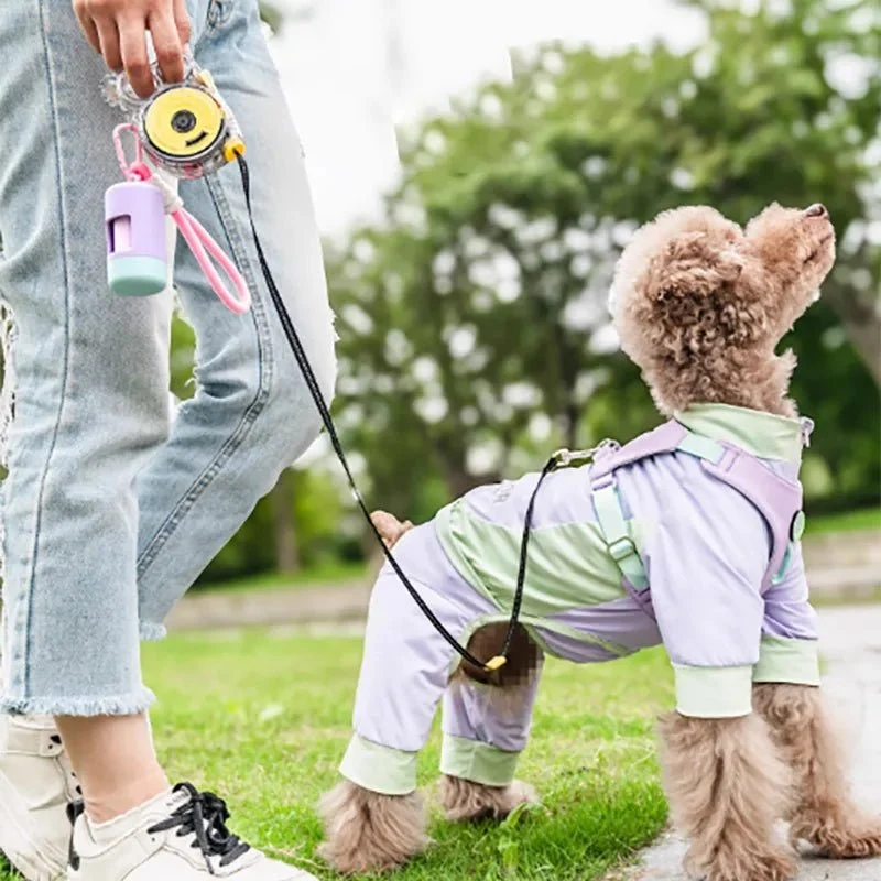 Laisse téléscopique pour chien