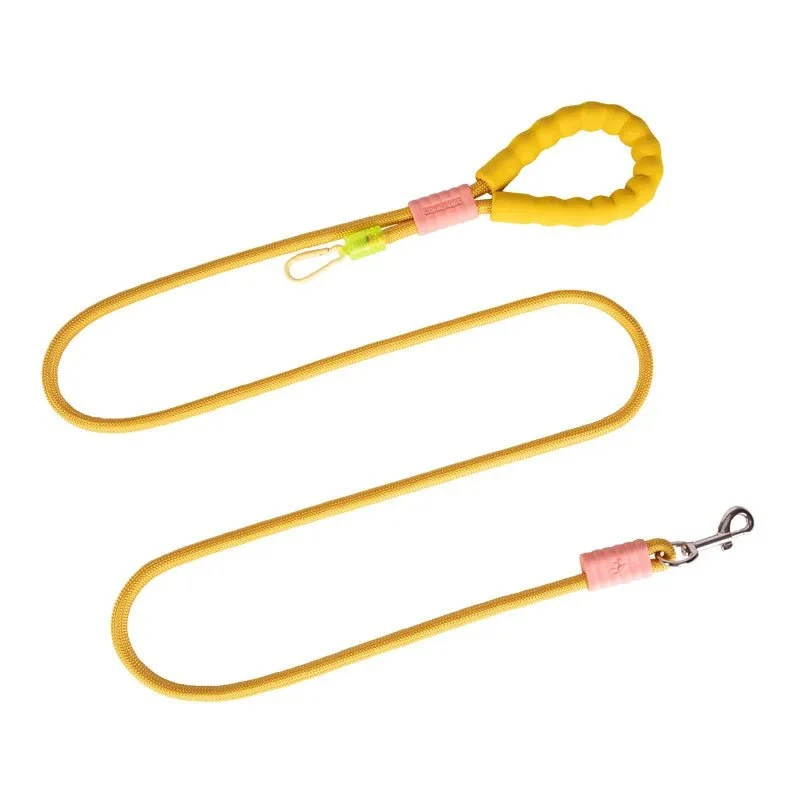 Laisse pour chien malinois