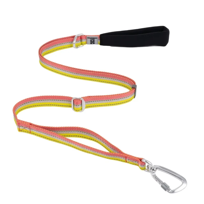 Laisse pour chien fluo