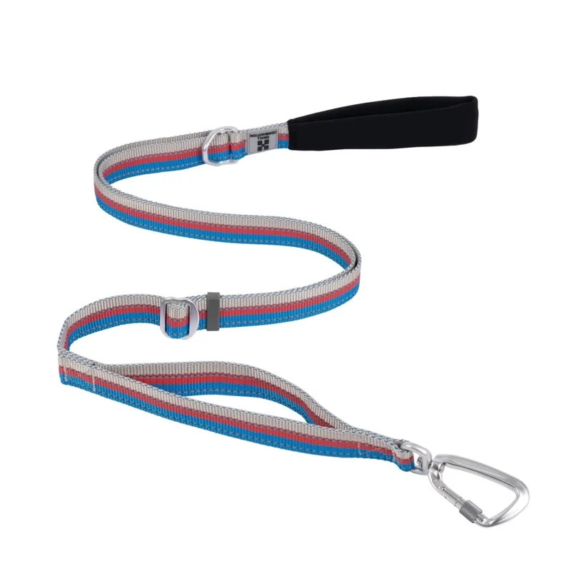 Laisse pour chien fluo