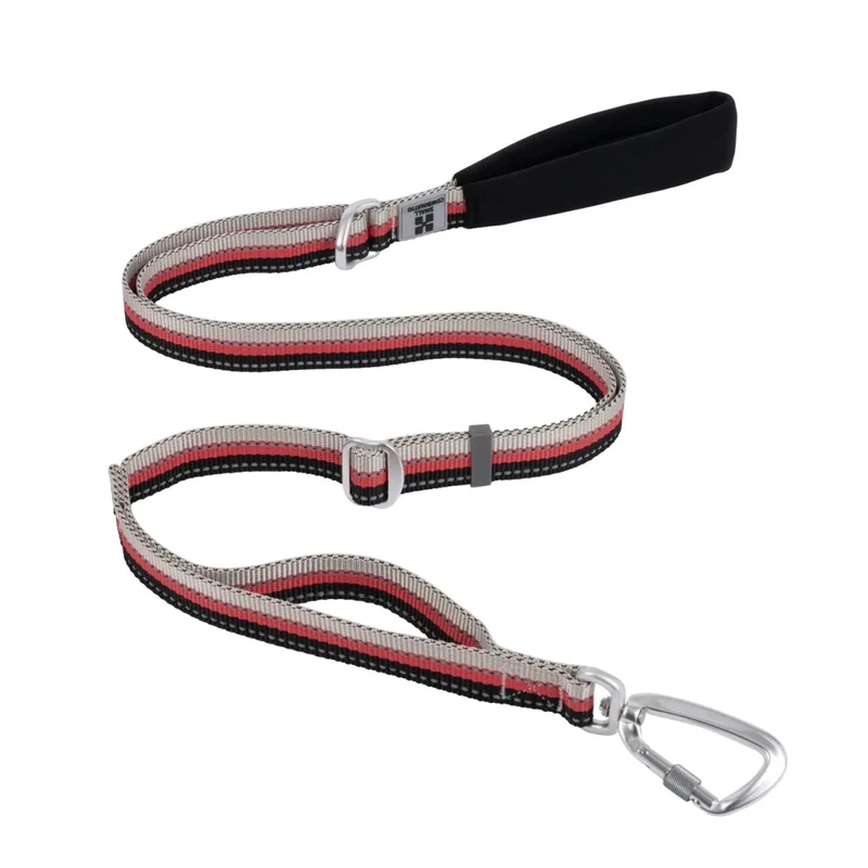 Laisse pour chien fluo
