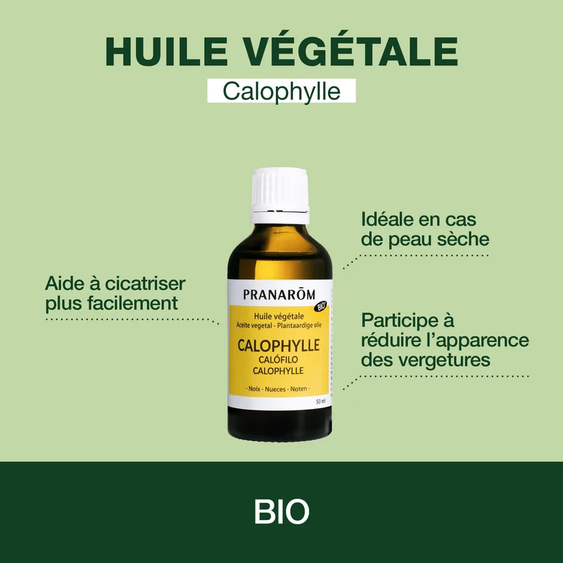 Huile Végétale de Calophylle - Bio