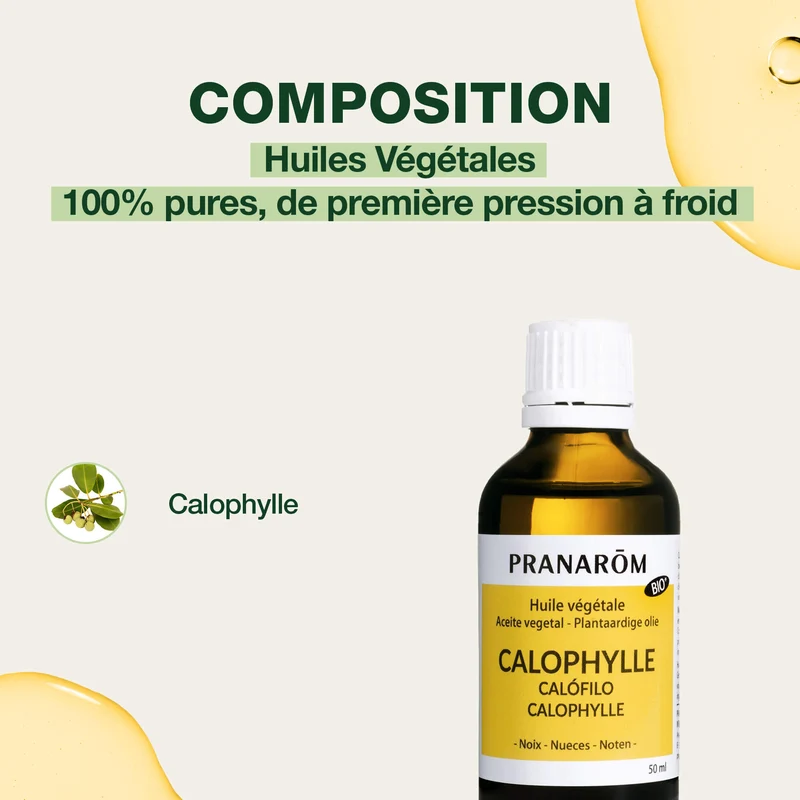 Huile Végétale de Calophylle - Bio