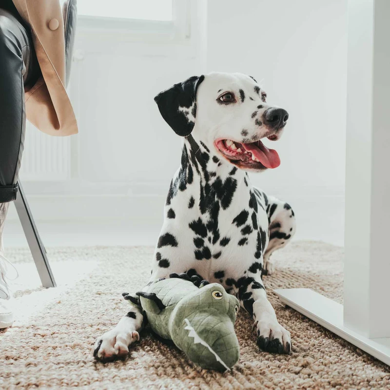 Hundespielzeug Tough Toys