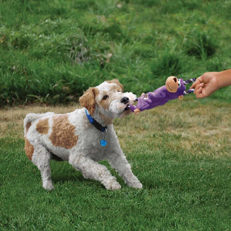 Hundespielzeug KONG® Tugger Knots®