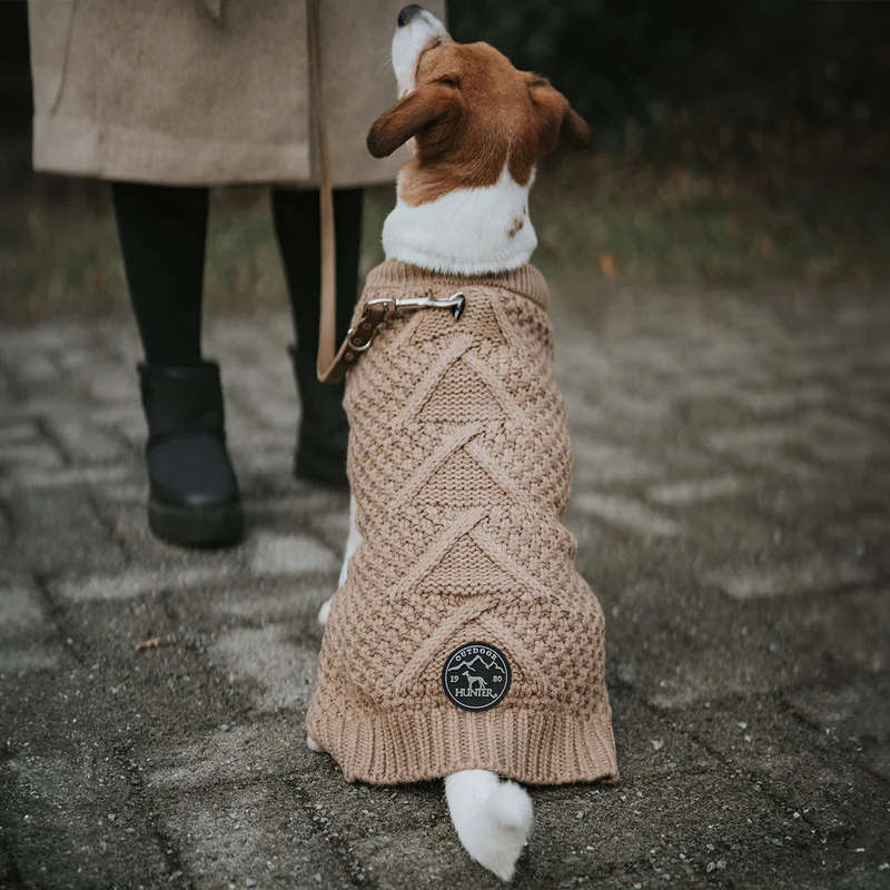 Hundepullover Malmö