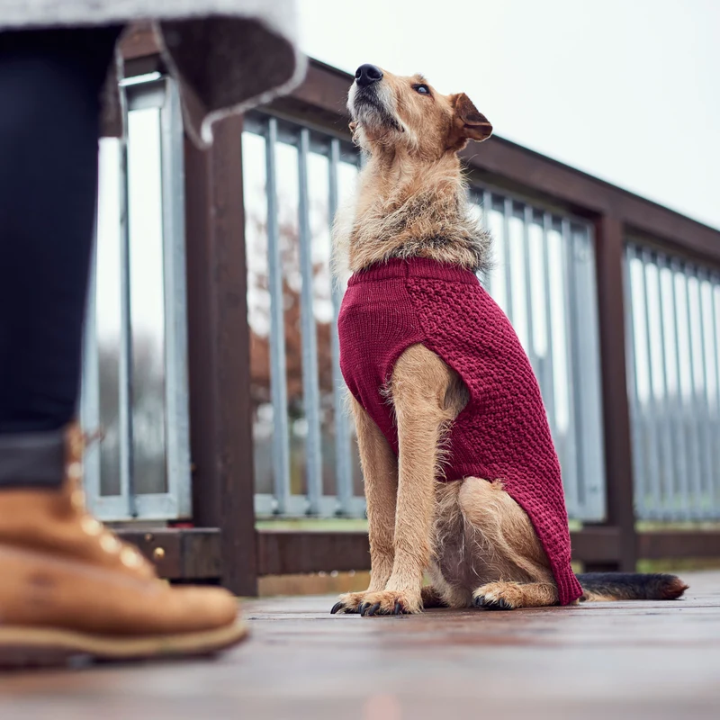 Hundepullover Malmö