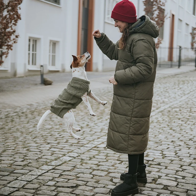 Hundepullover Malmö