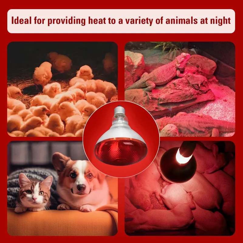 Lampe chauffante chiot 250w
