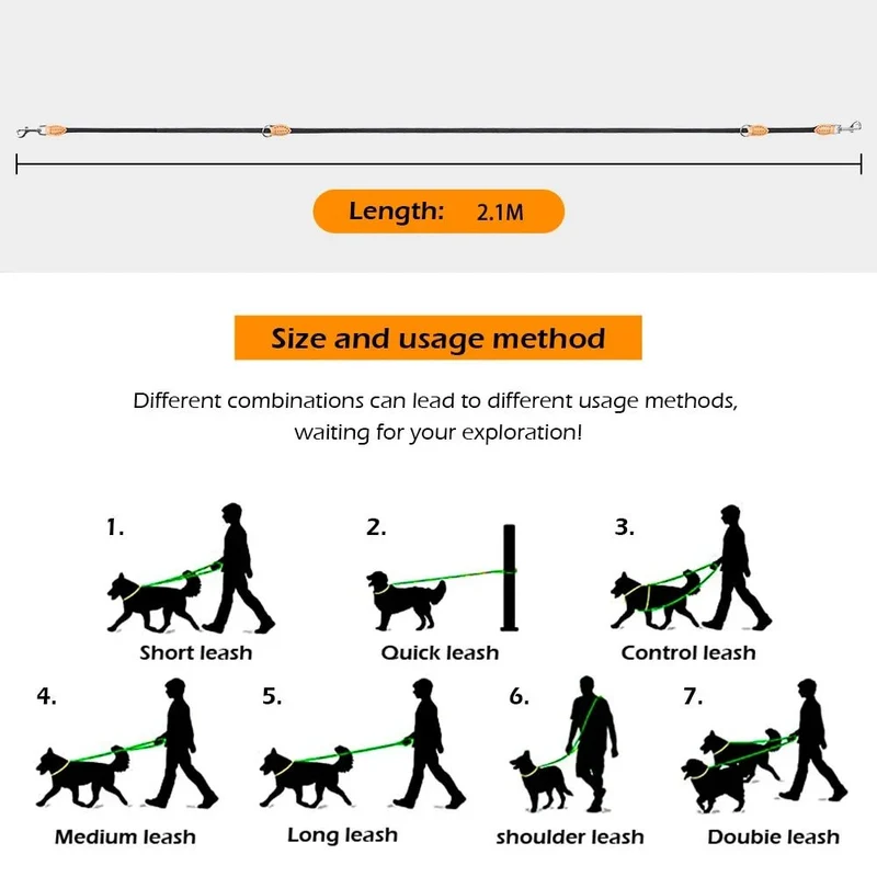 Laisse double attache pour chien