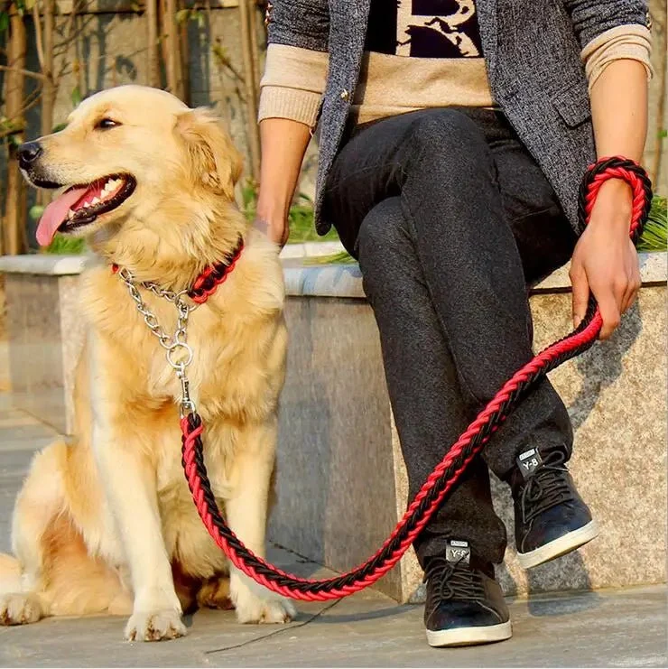 Laisse pour chien corde tressée