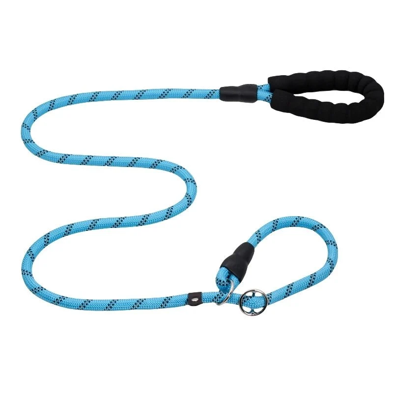 Laisse chien corde 2m
