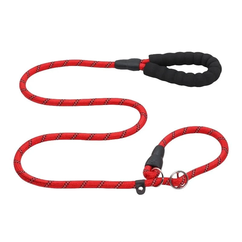 Laisse chien corde 2m