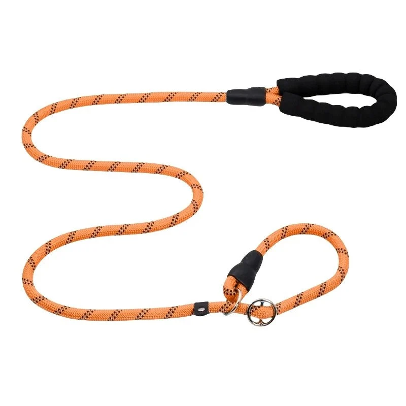 Laisse chien corde 2m