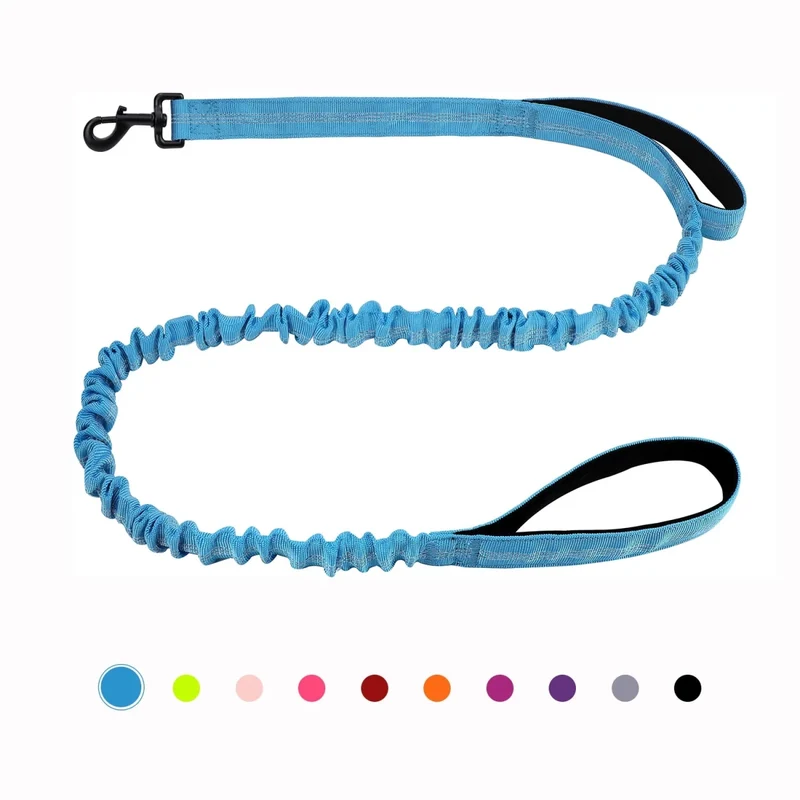 Laisse canicross petit chien