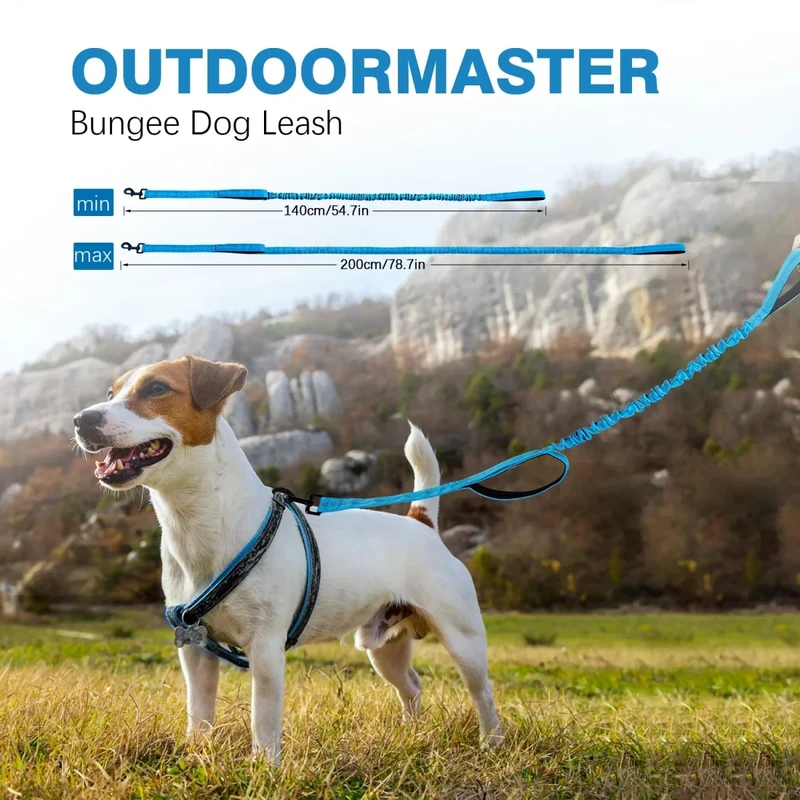 Laisse canicross petit chien