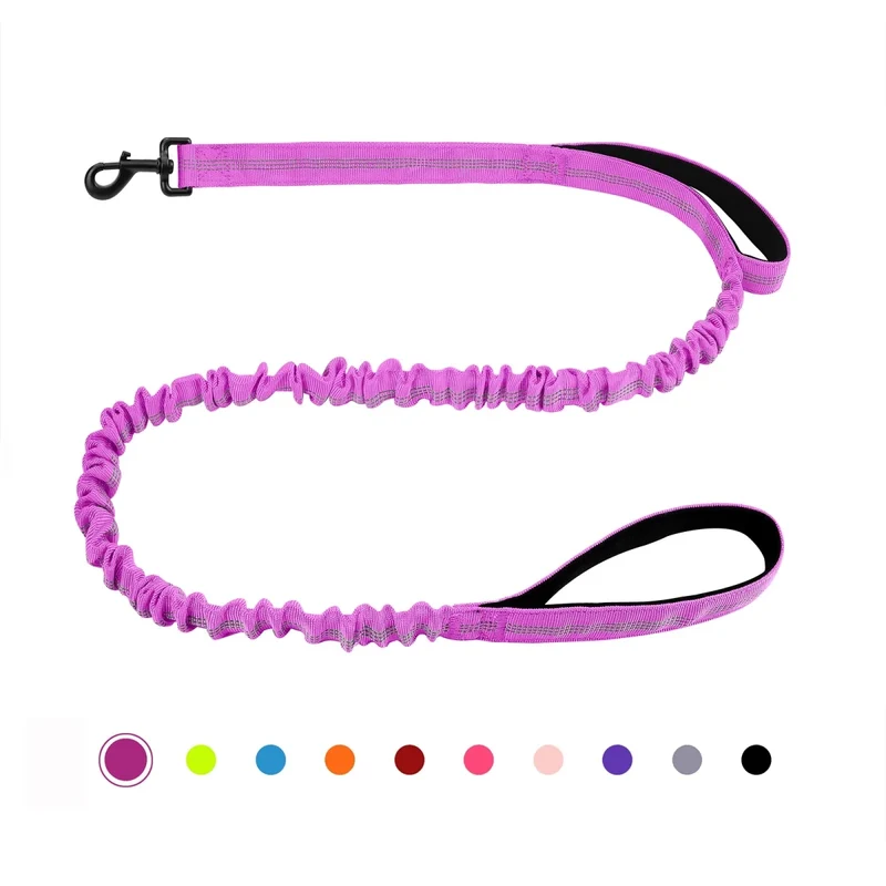 Laisse canicross petit chien