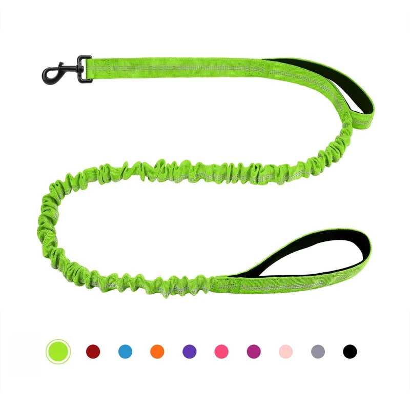 Laisse canicross petit chien