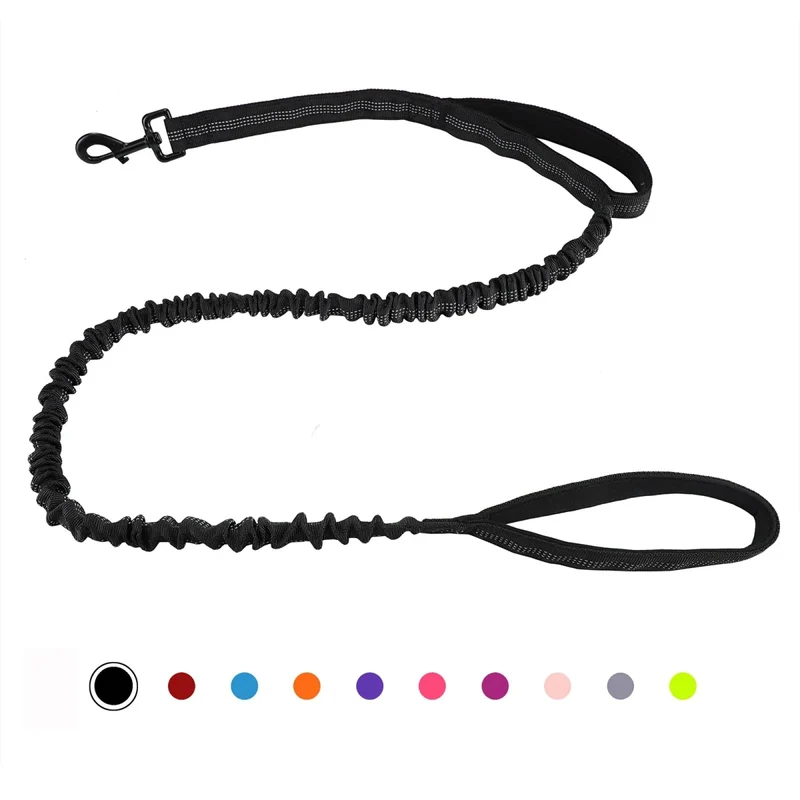 Laisse canicross petit chien
