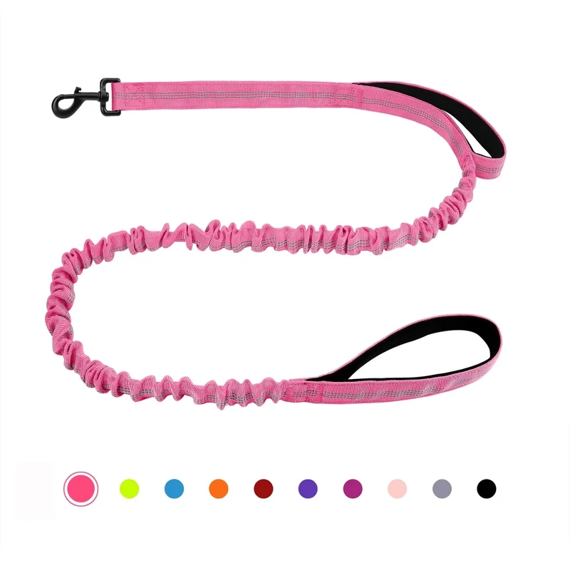 Laisse canicross petit chien
