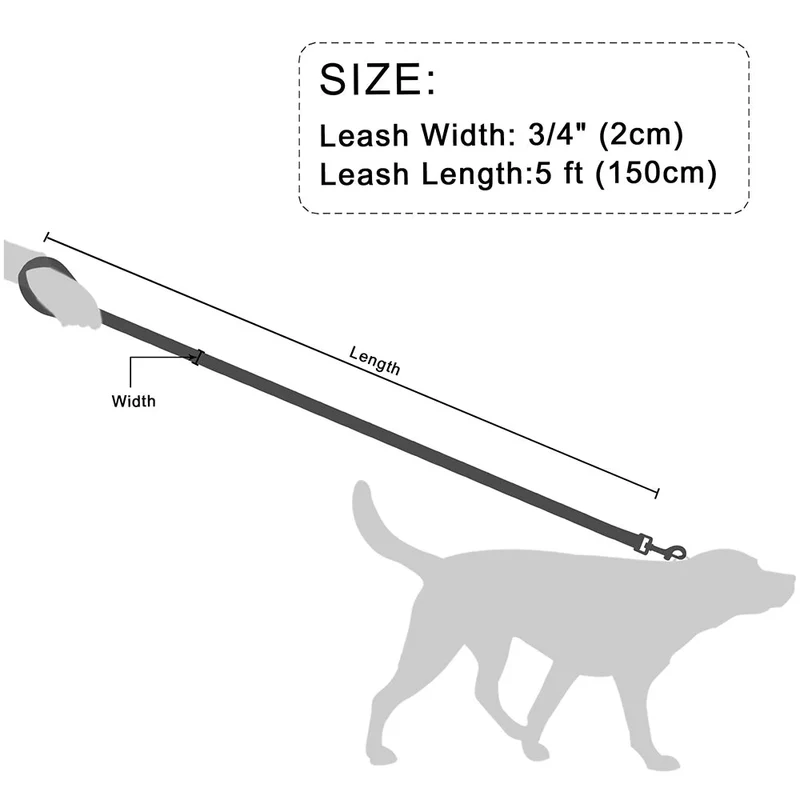 Laisse pour chiot chihuahua