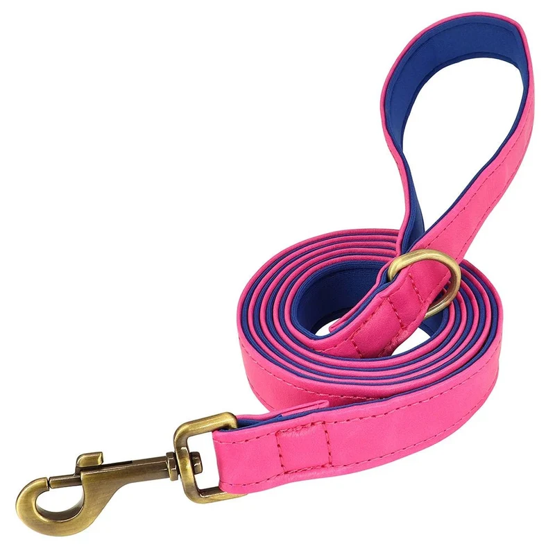 Laisse pour chiot chihuahua