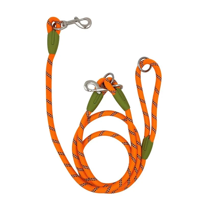 Laisse lasso pour chiot