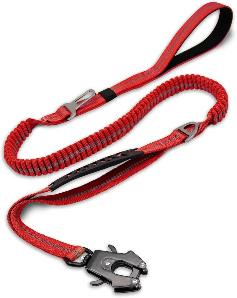 Laisse pour chien indestructible