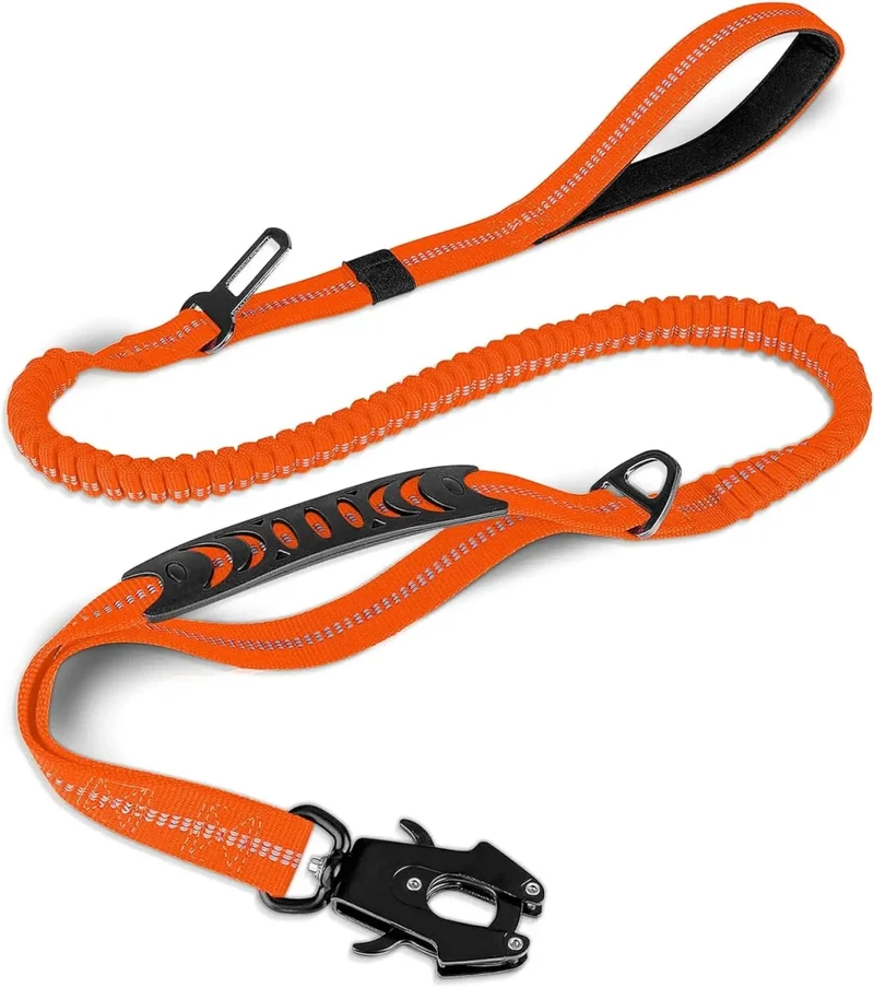Laisse pour chien indestructible