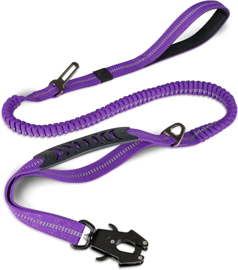 Laisse pour chien indestructible