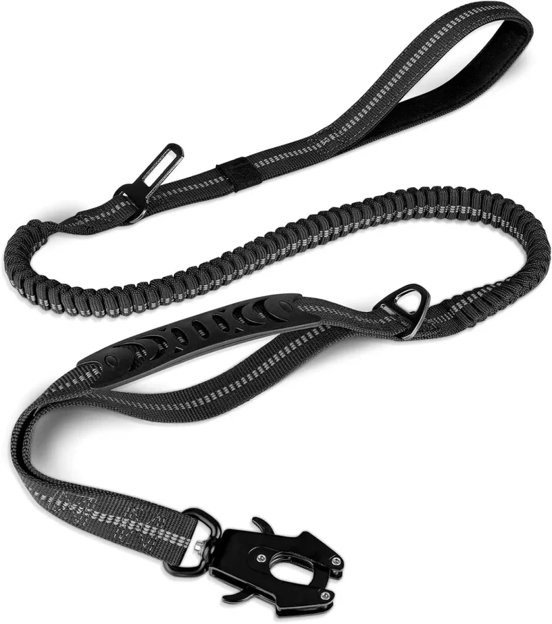 Laisse pour chien indestructible